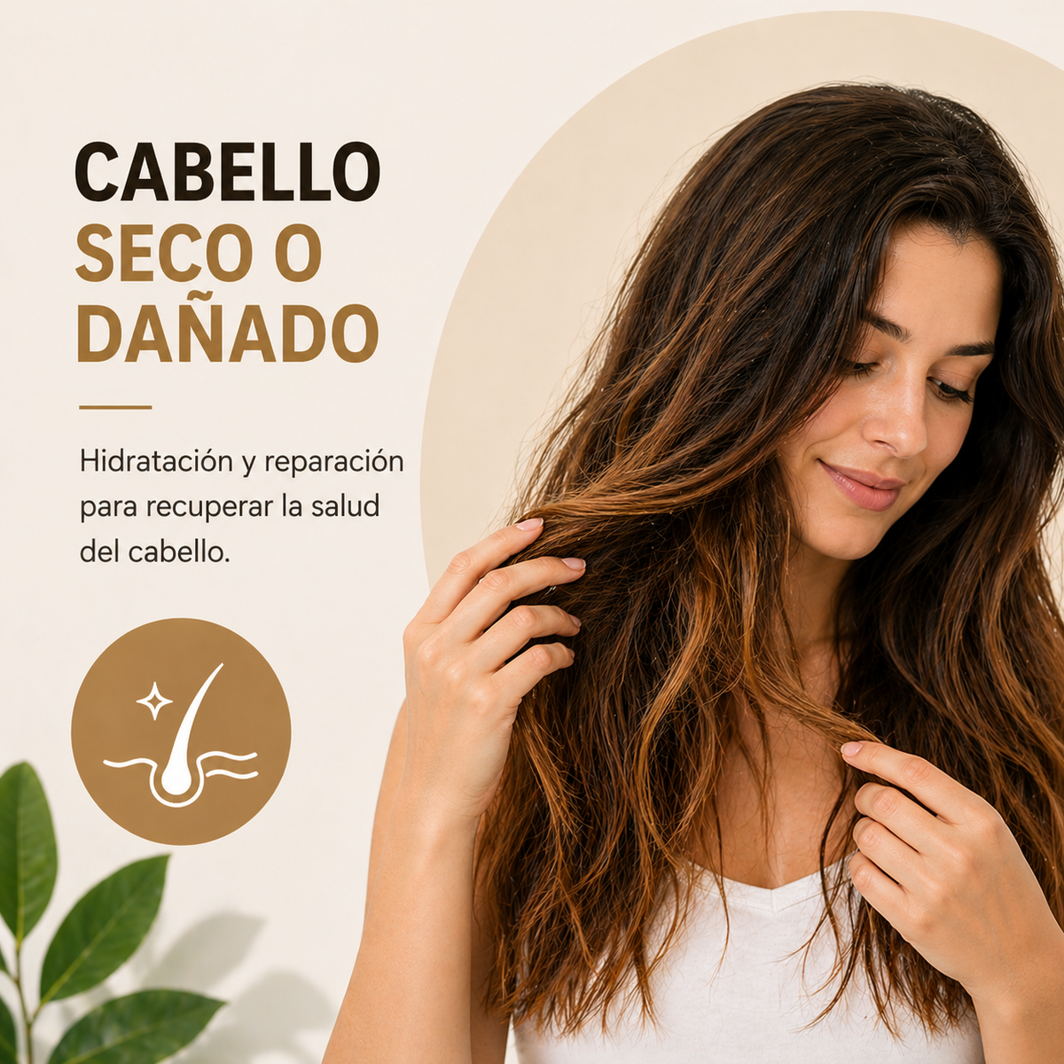 Cabello seco o dañado