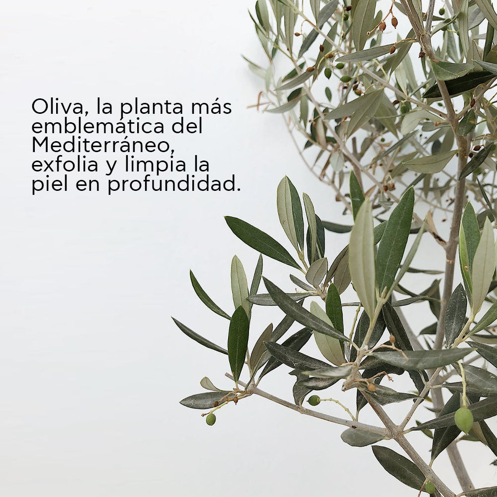 APIVITA FACE MASK - OLIVE *2 SOBRES